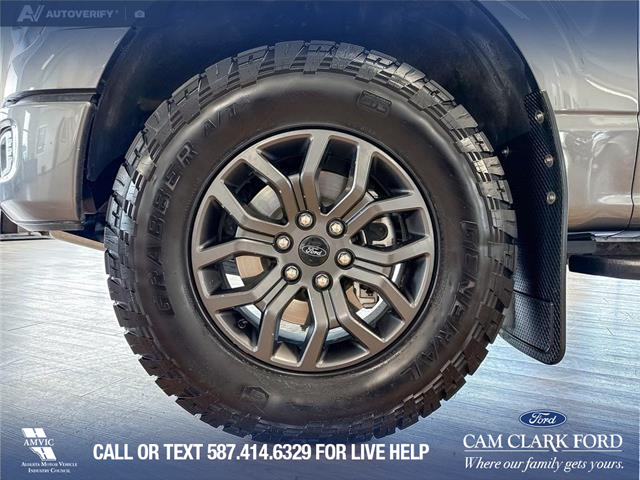 2025 Ford F-150 Tremor (Stk: P14908) in Airdrie - Image 6 of 25