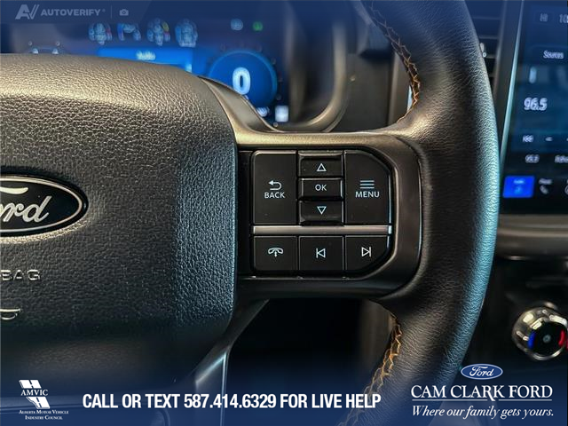 2025 Ford F-150 Tremor (Stk: P14908) in Airdrie - Image 16 of 25