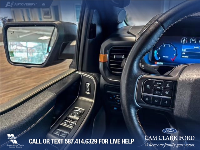 2025 Ford F-150 Tremor (Stk: P14908) in Airdrie - Image 17 of 25