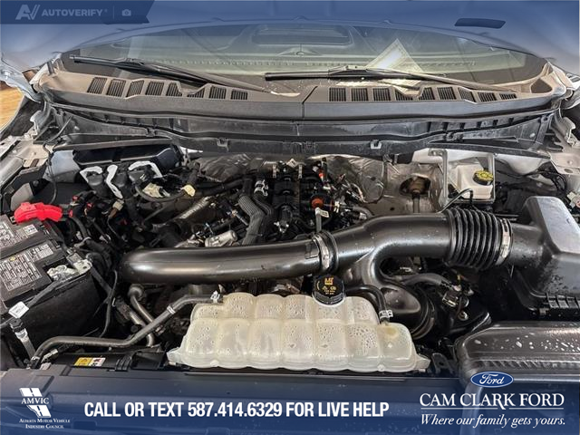 2025 Ford F-150 Tremor (Stk: P14904) in Airdrie - Image 10 of 25 2025 Ford F-150 Tremor (Stk: P14904) in Airdrie - Image 10 of 25