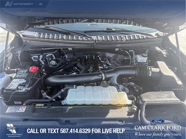2024 Ford Expedition Max Platinum (Stk: P6976) in Olds - Image 10 of 25