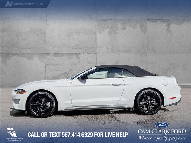 2022 Ford Mustang EcoBoost Premium (Stk: U38020) in Red Deer - Image 3 of 24