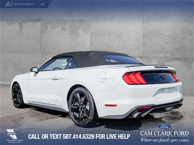 2022 Ford Mustang EcoBoost Premium (Stk: U38020) in Red Deer - Image 4 of 24