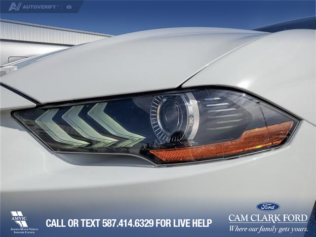 2022 Ford Mustang EcoBoost Premium (Stk: U38020) in Red Deer - Image 8 of 24