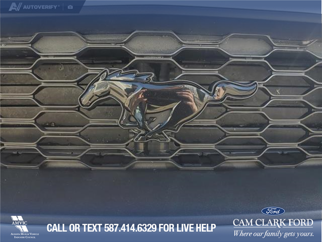 2022 Ford Mustang EcoBoost Premium (Stk: U38020) in Red Deer - Image 9 of 24