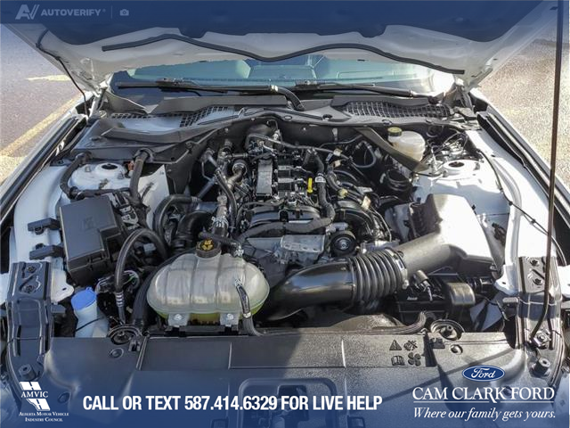 2022 Ford Mustang EcoBoost Premium (Stk: U38020) in Red Deer - Image 10 of 24