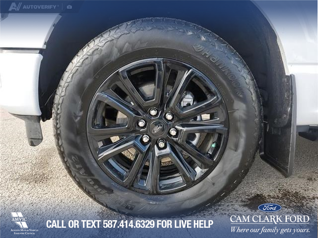 2025 Ford F-150 Platinum (Stk: U38027) in Red Deer - Image 6 of 25
