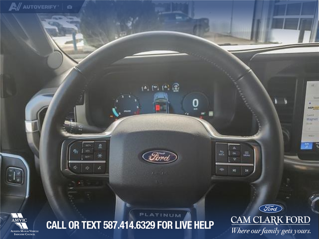 2025 Ford F-150 Platinum (Stk: U38027) in Red Deer - Image 14 of 25