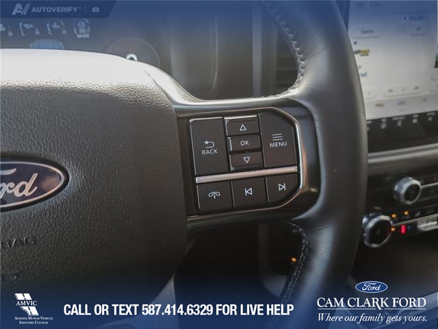2025 Ford F-150 Platinum (Stk: U38027) in Red Deer - Image 16 of 25