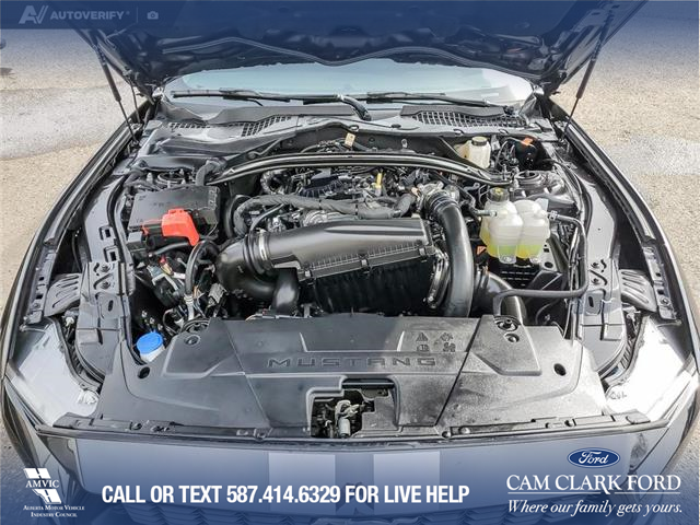 2024 Ford Mustang EcoBoost Premium (Stk: U38021) in Red Deer - Image 10 of 25