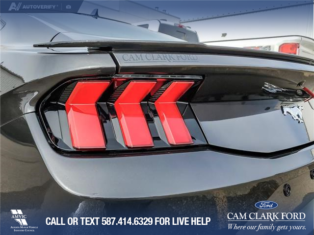 2024 Ford Mustang EcoBoost Premium (Stk: U38021) in Red Deer - Image 11 of 25