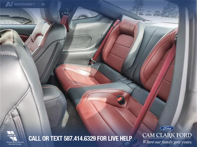 2024 Ford Mustang EcoBoost Premium (Stk: U38021) in Red Deer - Image 23 of 25