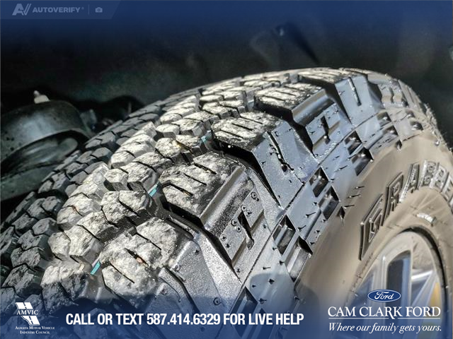 2025 Ford Expedition Tremor (Stk: U38030) in Red Deer - Image 7 of 25