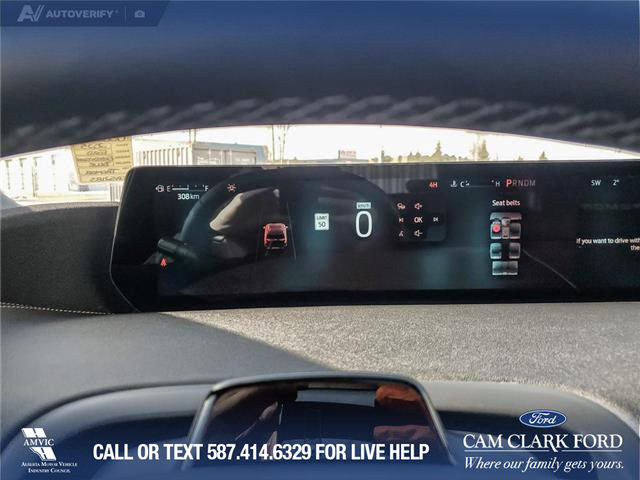 2025 Ford Expedition Tremor (Stk: U38030) in Red Deer - Image 15 of 25