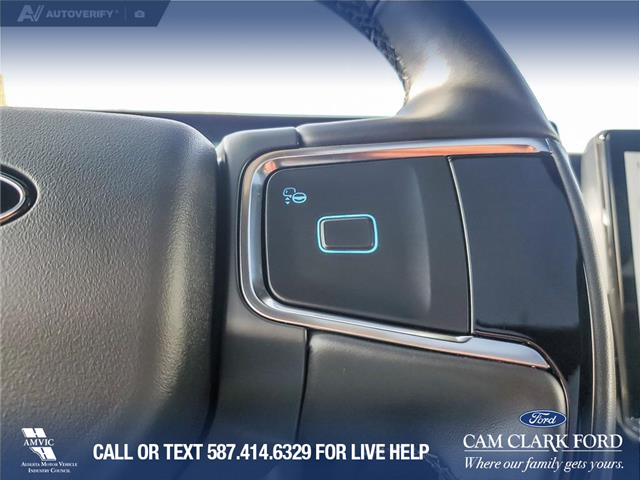 2025 Ford Expedition Tremor (Stk: U38030) in Red Deer - Image 16 of 25