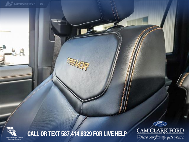 2025 Ford Expedition Tremor (Stk: U38030) in Red Deer - Image 20 of 25