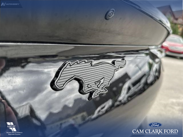 2023 Ford Mustang Mach-E Premium (Stk: 23CS9557) in Canmore - Image 10 of 25