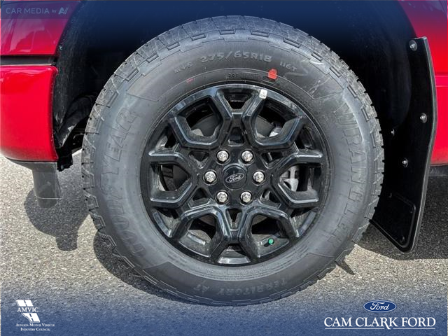 2025 Ford F-150 XLT (Stk: 25AT8605) in Airdrie - Image 6 of 25