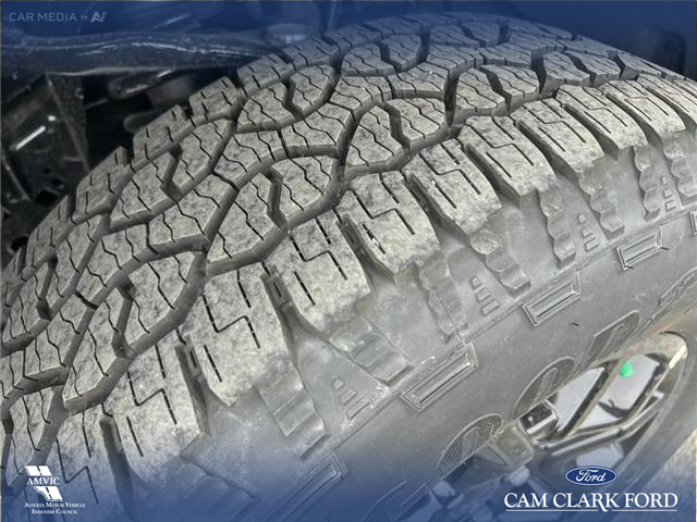 2025 Ford F-150 XLT (Stk: 25AT4866) in Airdrie - Image 7 of 25