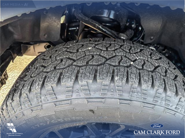 2025 Ford F-150 XLT (Stk: 25T7957) in Red Deer - Image 7 of 24 2025 Ford F-150 XLT (Stk: 25T7957) in Red Deer - Image 7 of 24