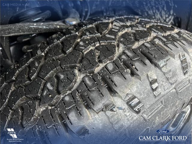 2025 Ford F-150 XLT (Stk: 25AT4130) in Airdrie - Image 7 of 25 2025 Ford F-150 XLT (Stk: 25AT4130) in Airdrie - Image 7 of 25