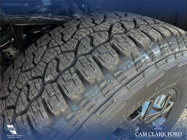 2025 Ford F-150 XLT (Stk: 25AT4575) in Airdrie - Image 7 of 25