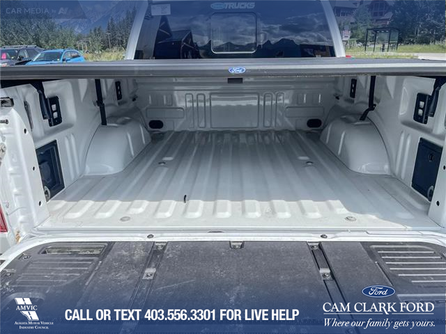 2025 Ford F-150 XLT (Stk: 25CT4971) in Canmore - Image 13 of 26