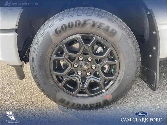 2025 Ford F-150 XLT (Stk: 25AT9957) in Airdrie - Image 6 of 25