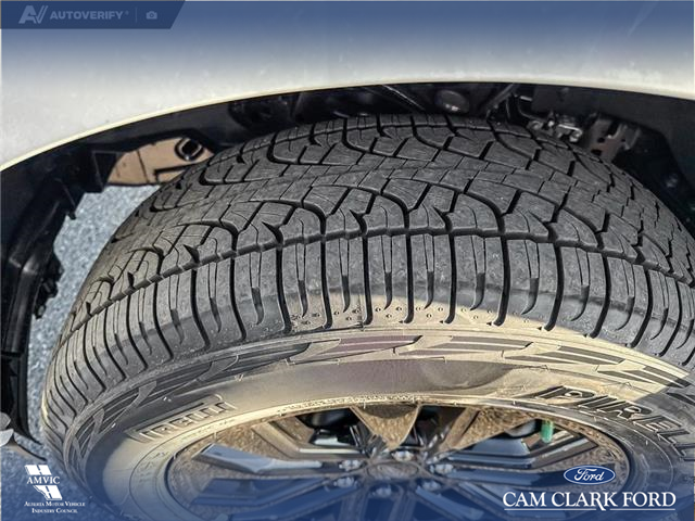 2025 Ford F-150 XLT (Stk: 25T8269) in Red Deer - Image 7 of 24