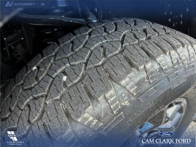 2025 Ford F-150 XLT (Stk: 25AT4262) in Airdrie - Image 7 of 25 2025 Ford F-150 XLT (Stk: 25AT4262) in Airdrie - Image 7 of 25