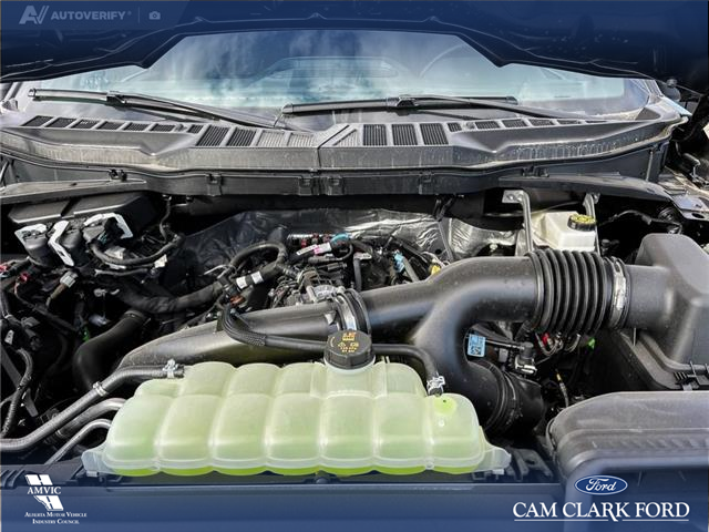 2025 Ford F-150 XLT (Stk: 25AT4262) in Airdrie - Image 10 of 25 2025 Ford F-150 XLT (Stk: 25AT4262) in Airdrie - Image 10 of 25