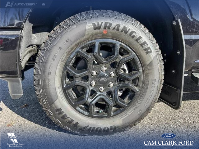 2025 Ford F-150 XLT (Stk: 25AT3372) in Airdrie - Image 6 of 25