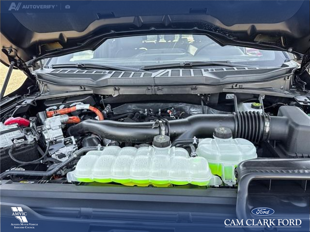 2025 Ford F-150 XLT (Stk: 25T8854) in Red Deer - Image 10 of 24
