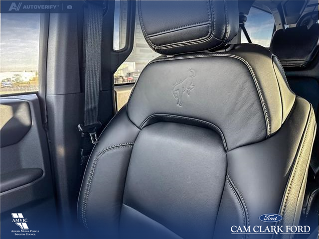 2025 Ford Bronco Badlands (Stk: 25S6227) in Red Deer - Image 20 of 25