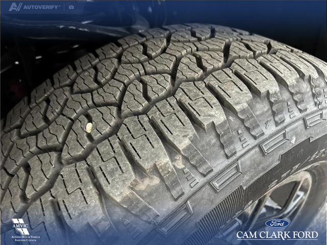 2025 Ford F-150 XLT (Stk: 25AT7159) in Airdrie - Image 7 of 25