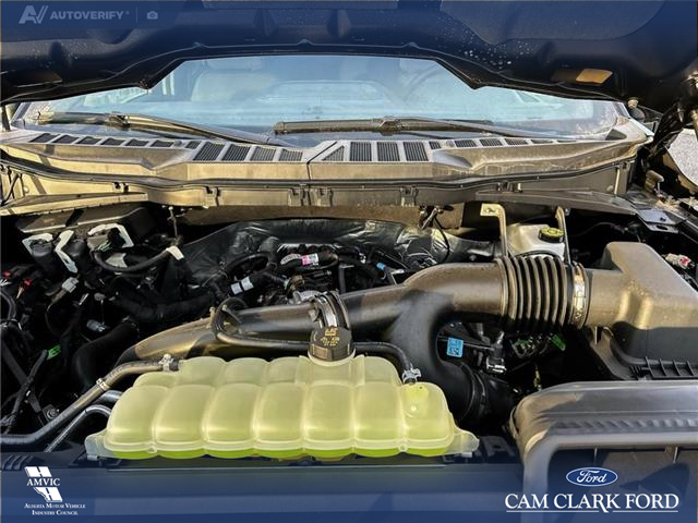 2025 Ford F-150 XLT (Stk: 25AT3596A) in Airdrie - Image 10 of 25