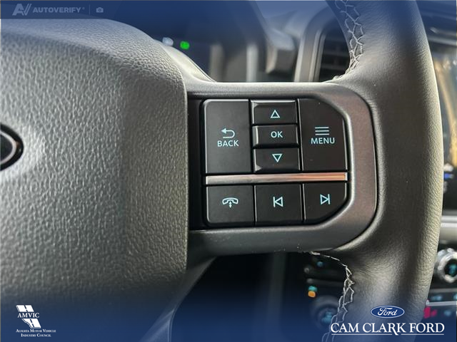 2025 Ford F-150 XLT (Stk: 25AT3596A) in Airdrie - Image 16 of 25