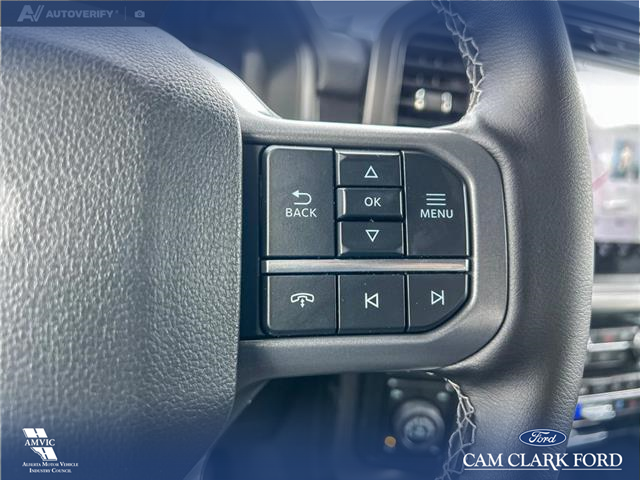 2025 Ford F-150 Lariat (Stk: 25AT8725) in Airdrie - Image 16 of 25