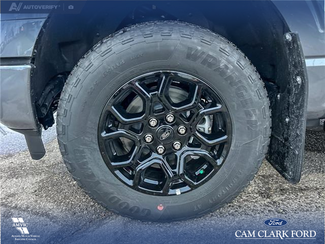 2025 Ford F-150 XLT (Stk: 25AT4380A) in Airdrie - Image 6 of 25