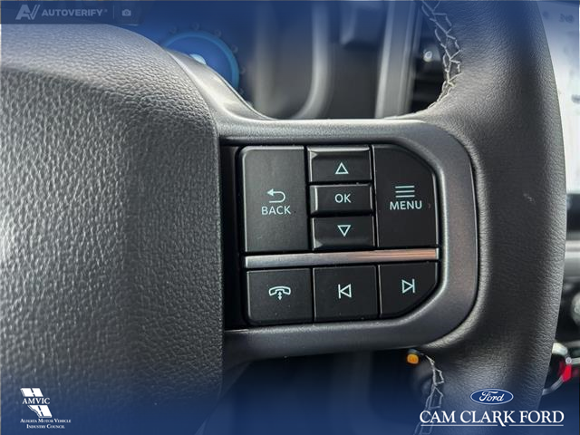 2025 Ford F-150 XLT (Stk: 25AT4343) in Airdrie - Image 16 of 25