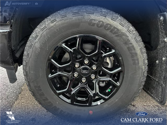 2025 Ford F-150 XLT (Stk: 25AT4328) in Airdrie - Image 6 of 25