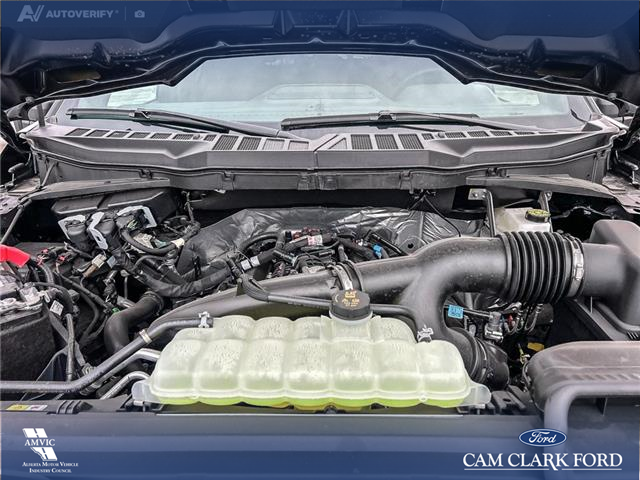 2025 Ford F-150 XLT (Stk: 25AT1264) in Airdrie - Image 10 of 25 2025 Ford F-150 XLT (Stk: 25AT1264) in Airdrie - Image 10 of 25