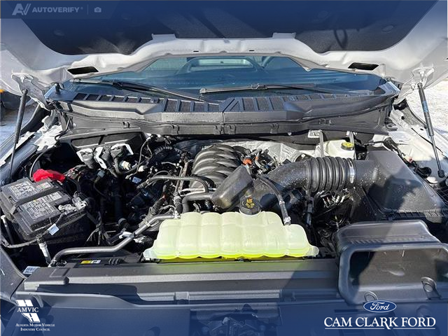 2026 Ford F-150 XLT (Stk: 26T2192) in Olds - Image 10 of 25 2026 Ford F-150 XLT (Stk: 26T2192) in Olds - Image 10 of 25