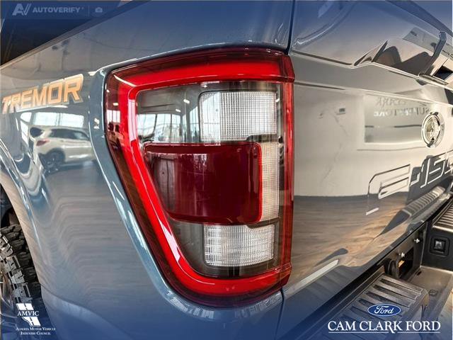2023 Ford F-150 Tremor (Stk: P14625) in Airdrie - Image 10 of 24