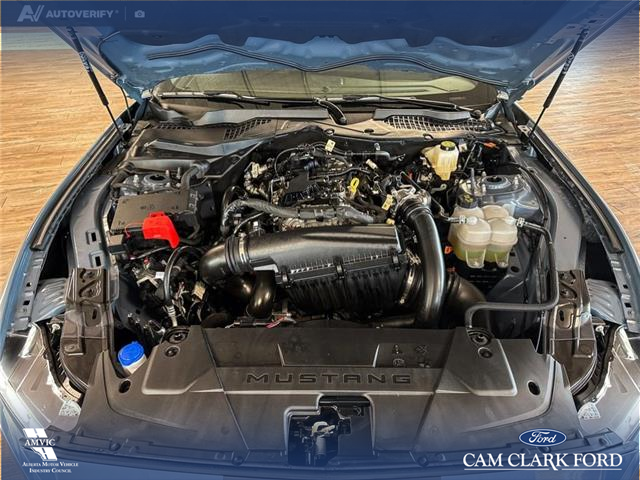 2025 Ford Mustang EcoBoost Premium (Stk: P14738) in Airdrie - Image 10 of 25