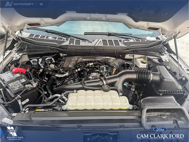 2025 Ford F-150 XLT (Stk: P6873) in Olds - Image 10 of 25