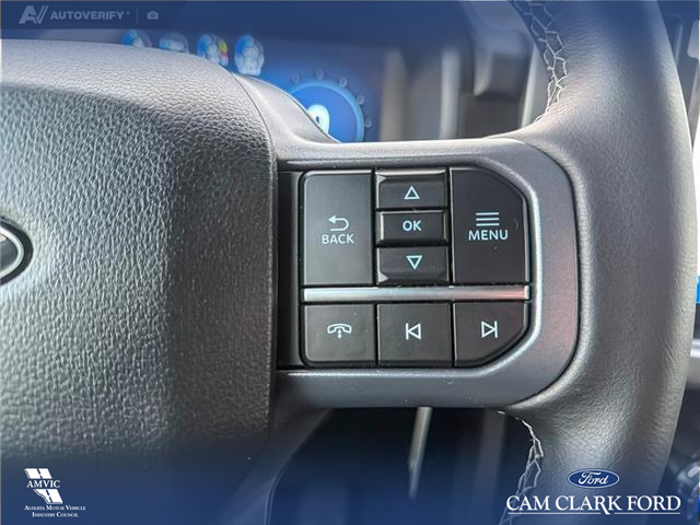 2025 Ford F-150 XLT (Stk: P6873) in Olds - Image 16 of 25