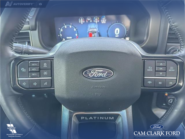 2024 Ford F-150 Platinum (Stk: P6878) in Olds - Image 15 of 24