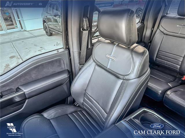 2024 Ford F-150 Platinum (Stk: P6878) in Olds - Image 19 of 24