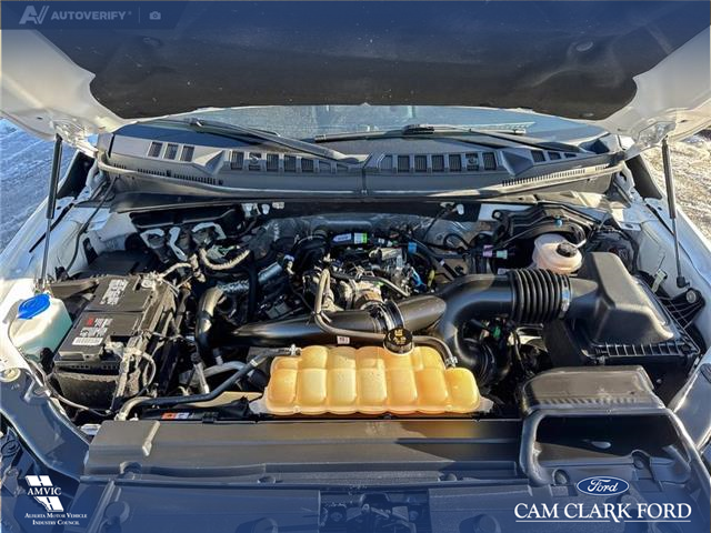 2020 Ford F-150 XLT (Stk: P1580) in Canmore - Image 10 of 27